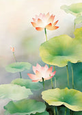 Pink lotus blooms rising among bright green pads