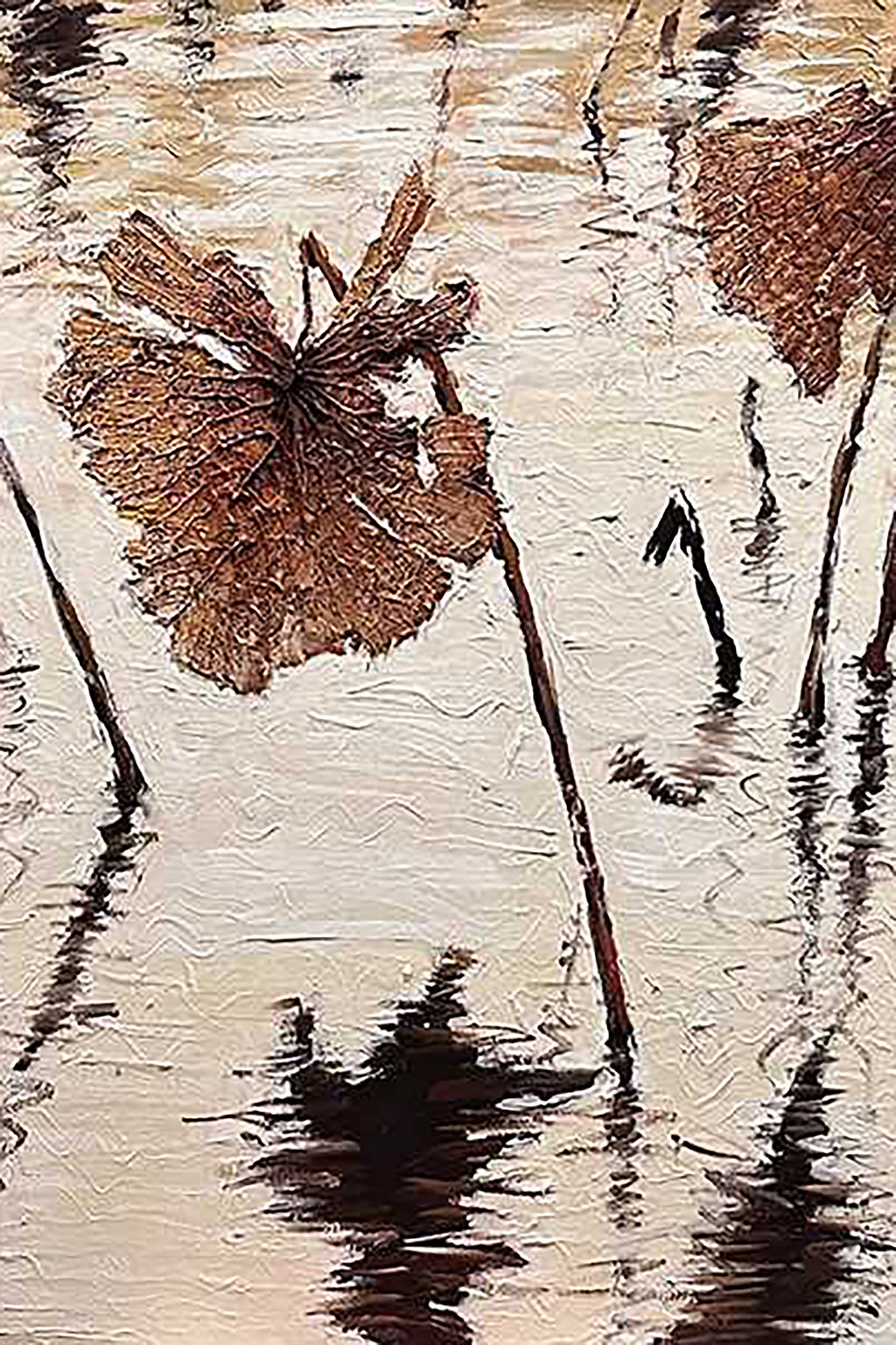 Dried lotus leaves and stems reflected in pale water