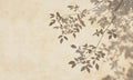 Soft leafy branch shadows across a warm cream wall