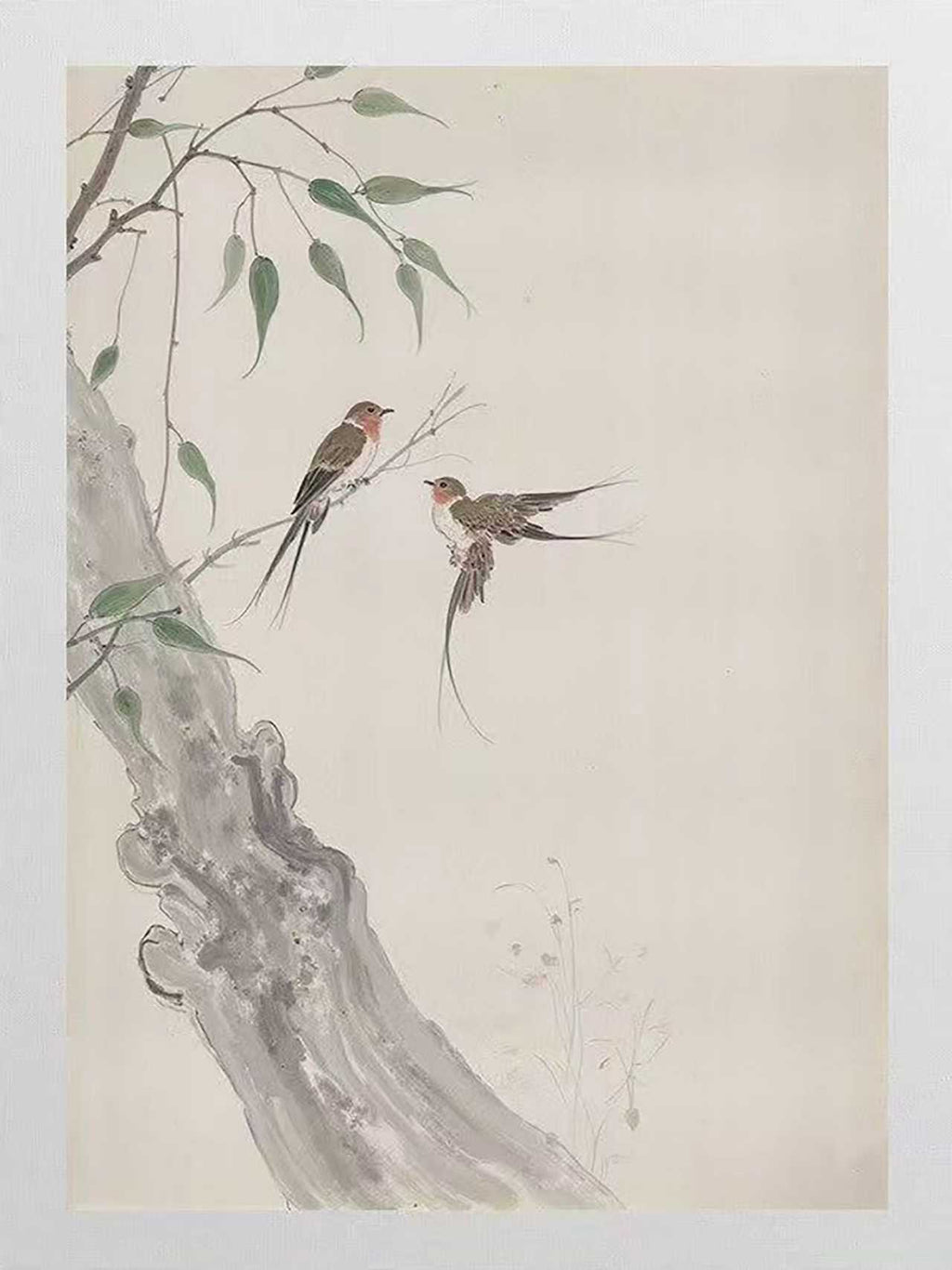 Two swallows near a grey tree trunk on pale cream