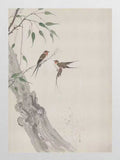 Two swallows near a grey tree trunk on pale cream