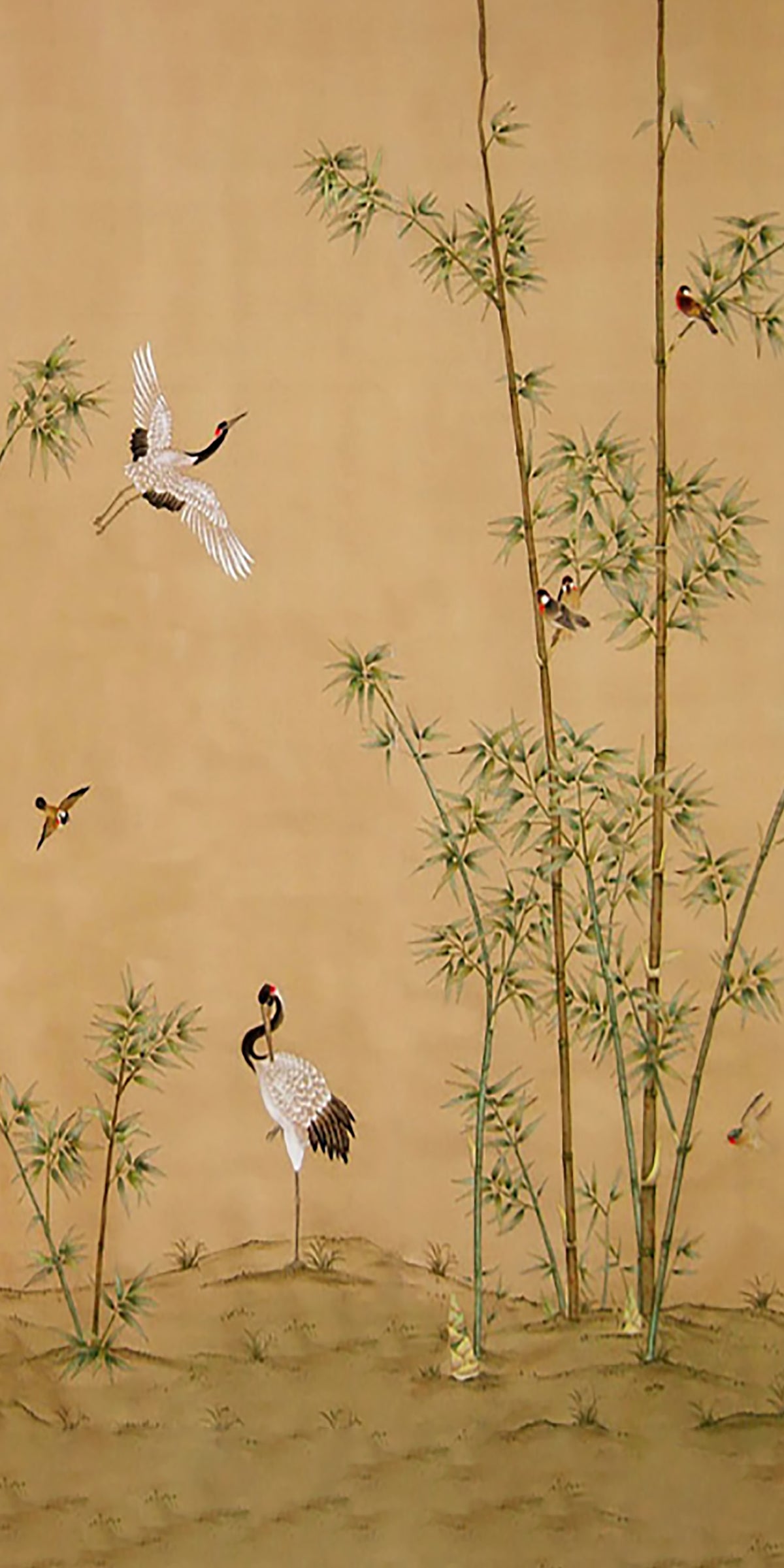 Red-crowned cranes among slender bamboo on aged gold