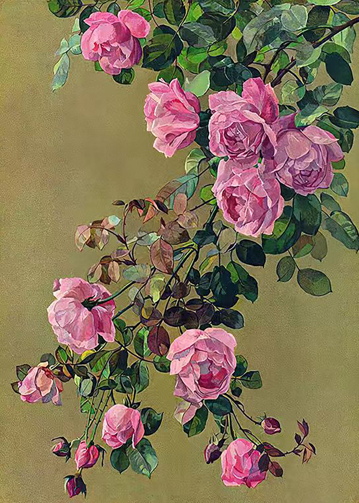 Trailing pink roses and leaves on a soft olive ground