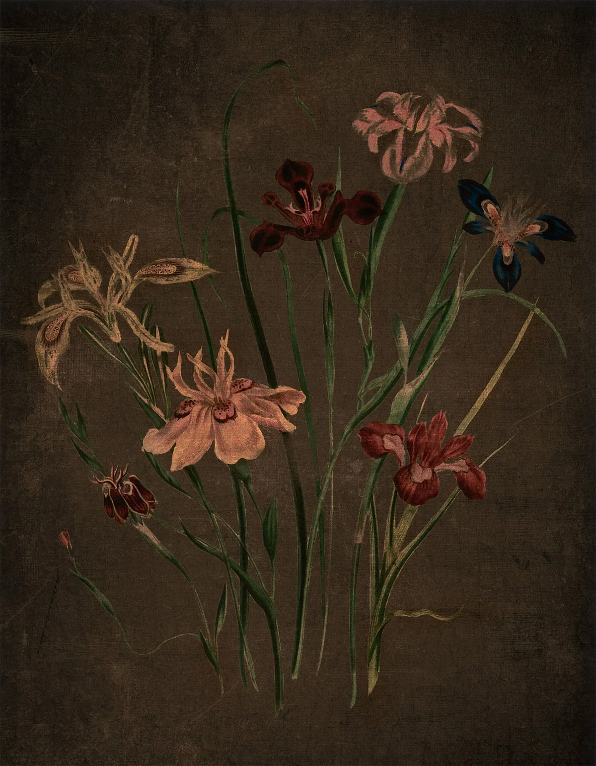 Coral and red lilies on slender stems against dark umber