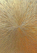 Fine gold strokes radiating from a central point