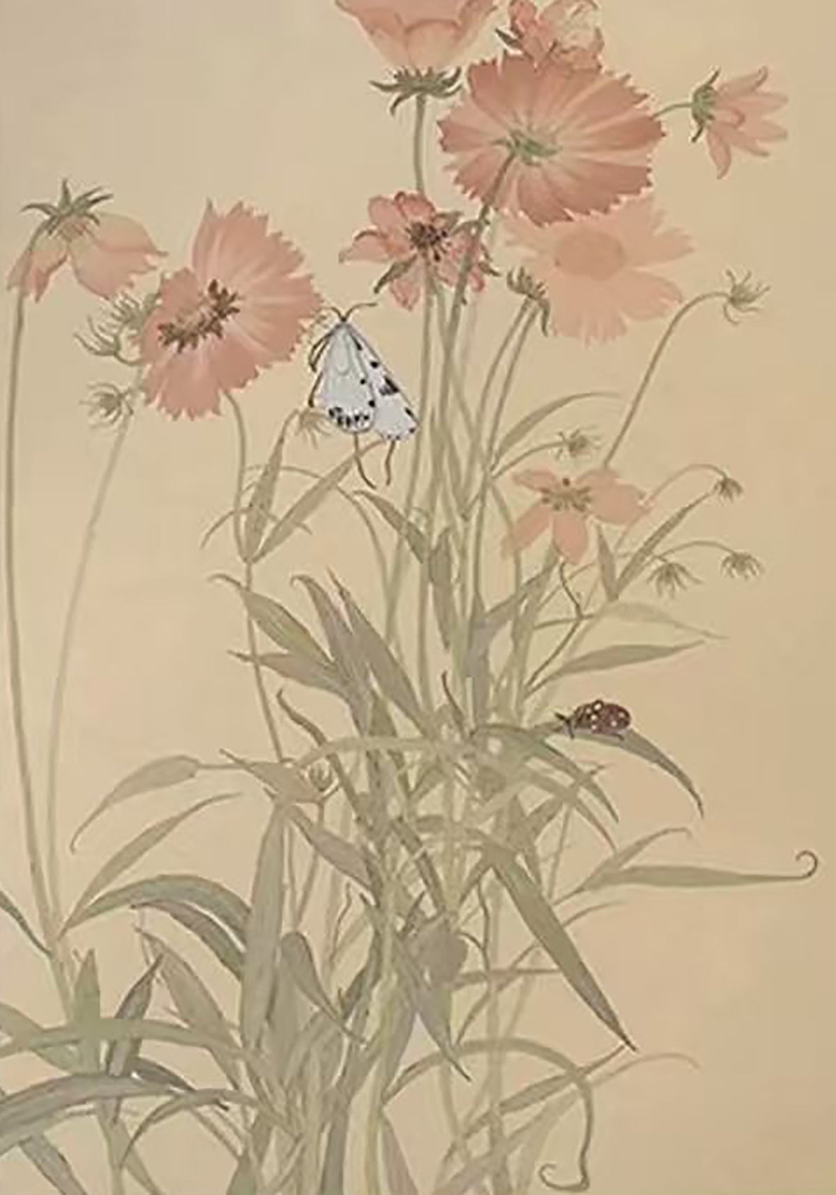 Pink cosmos and grasses with a small butterfly on taupe