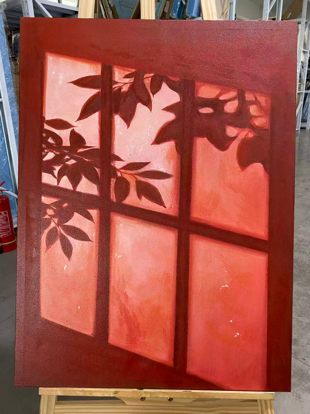 Leaf Shadow on Red