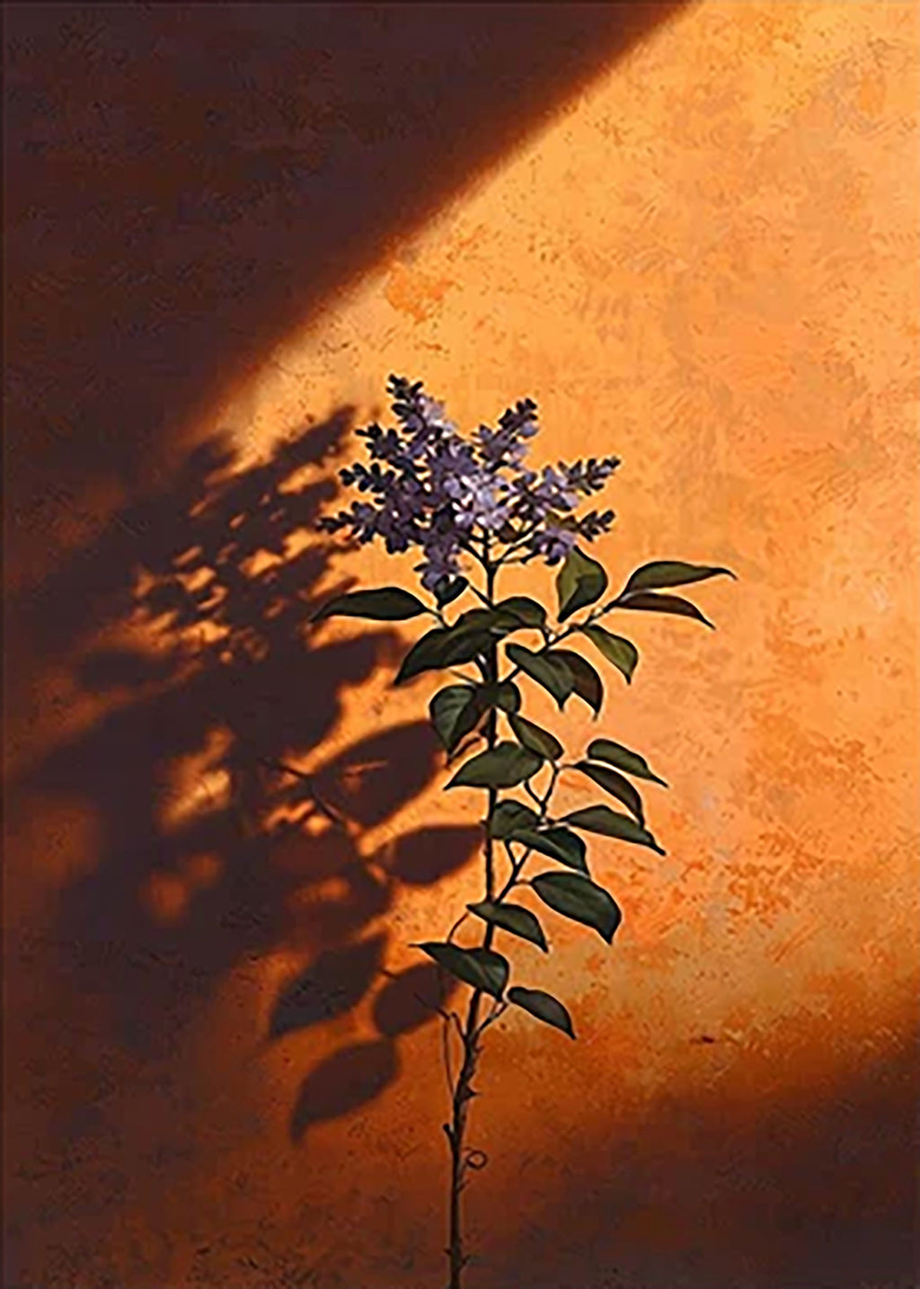 A single lilac stem casting shadows in a slash of orange light