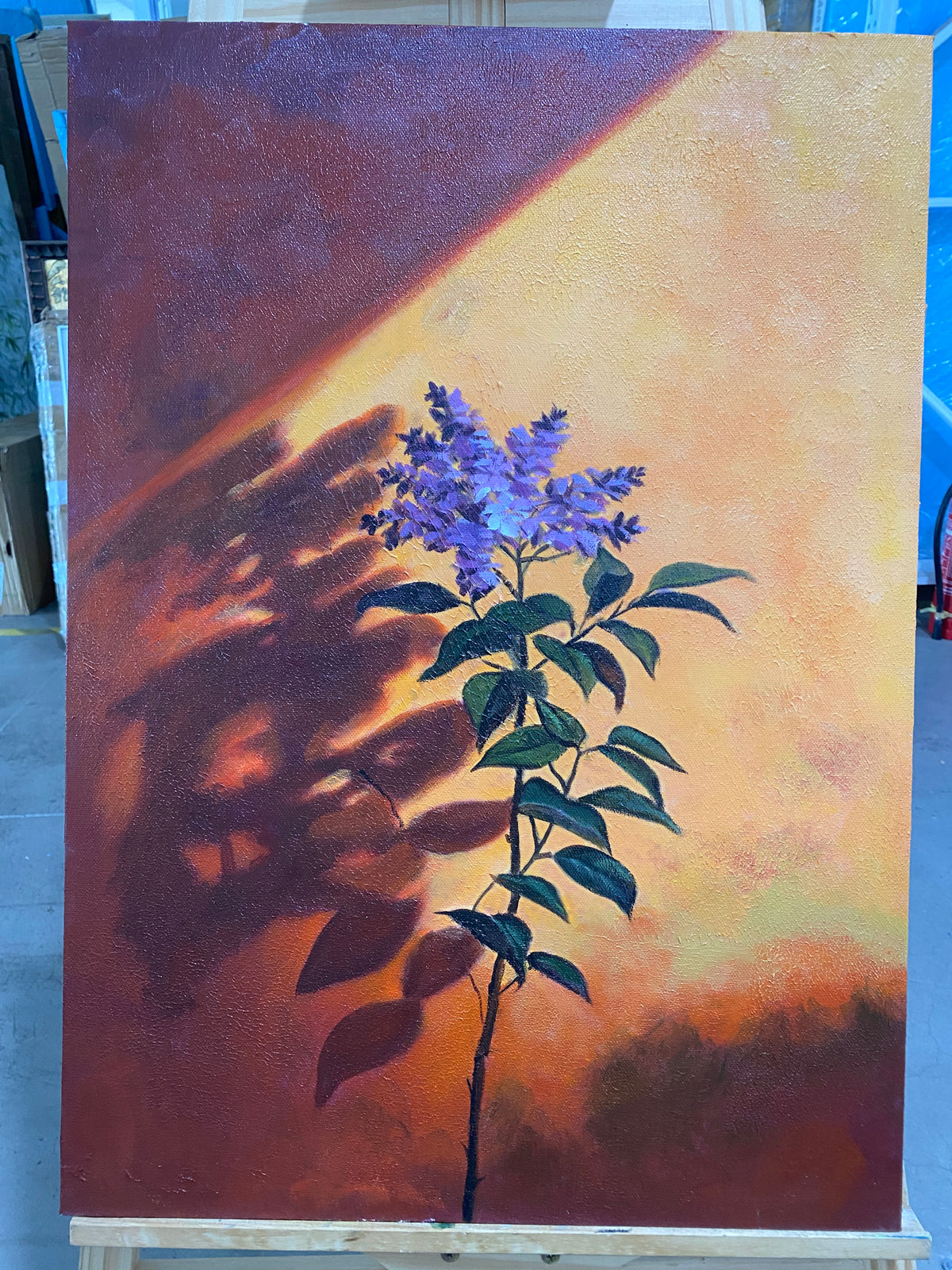 Lilac in Raking Light