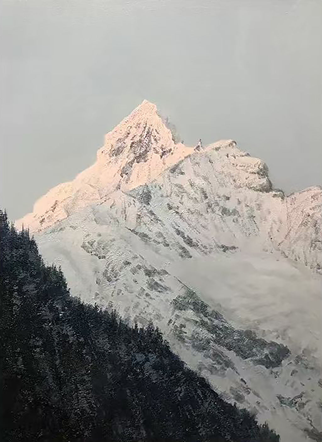 A snowy peak lit rose-gold above dark forested slopes