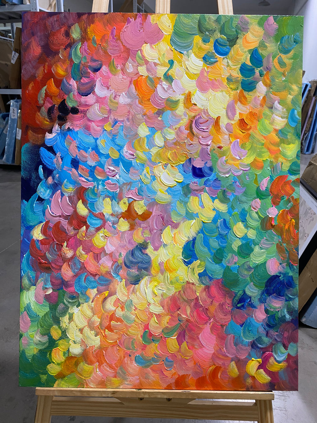 Rainbow Petal Field