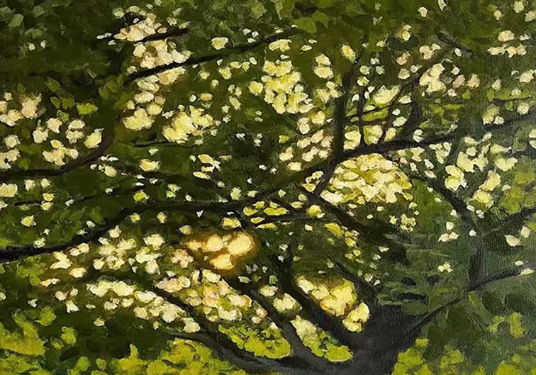 Sunlight glittering through a dense green tree canopy