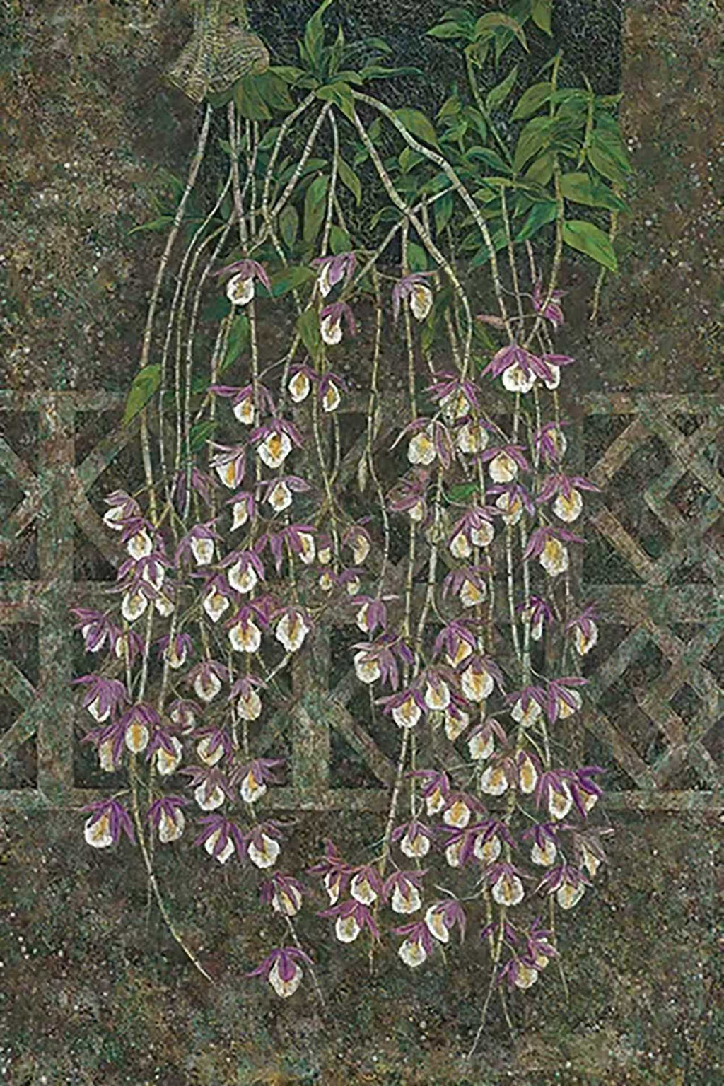 Trailing lilac orchids hanging over a dark green trellis