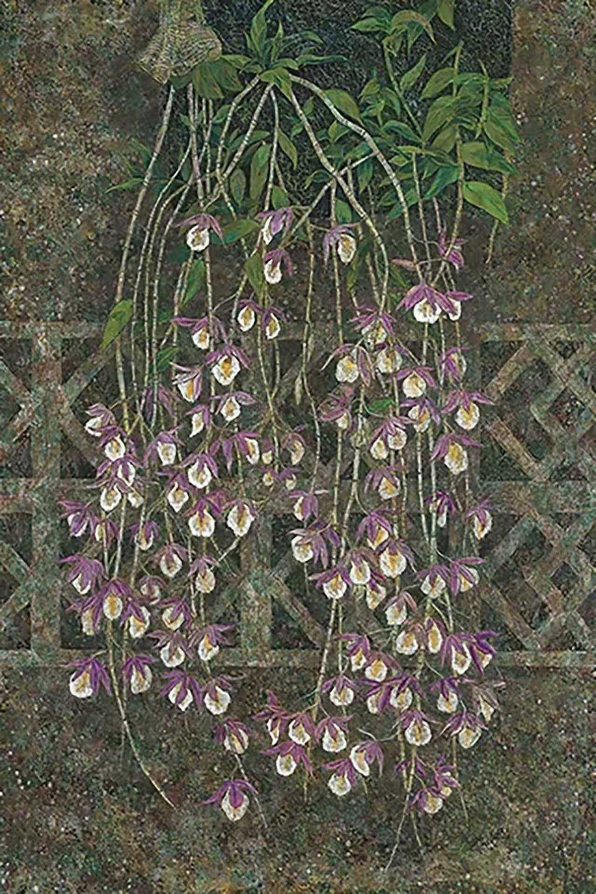 Trailing lilac orchids hanging over a dark green trellis