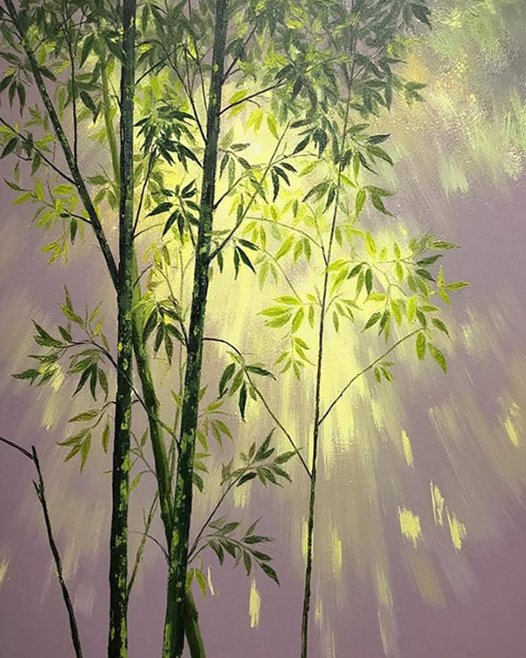 Tall bamboo with light streaming through the leaves