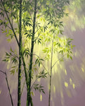 Tall bamboo with light streaming through the leaves