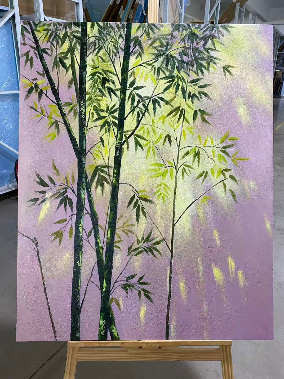 Bamboo in Sunlight