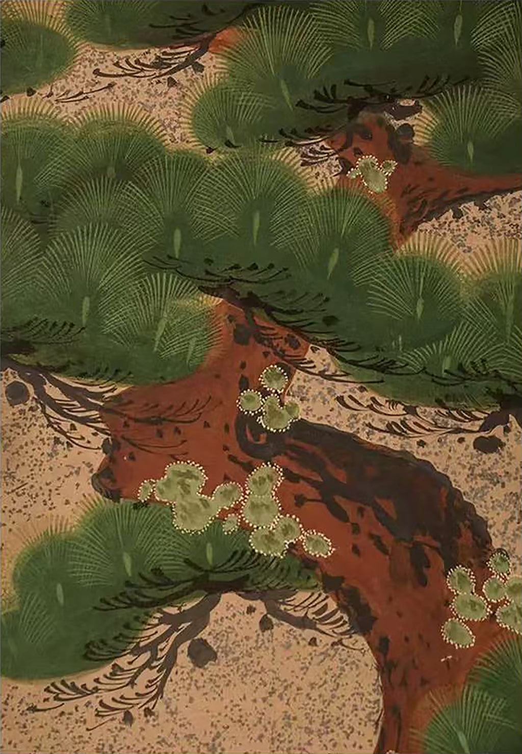 Green pine branches over a winding rust-brown trunk
