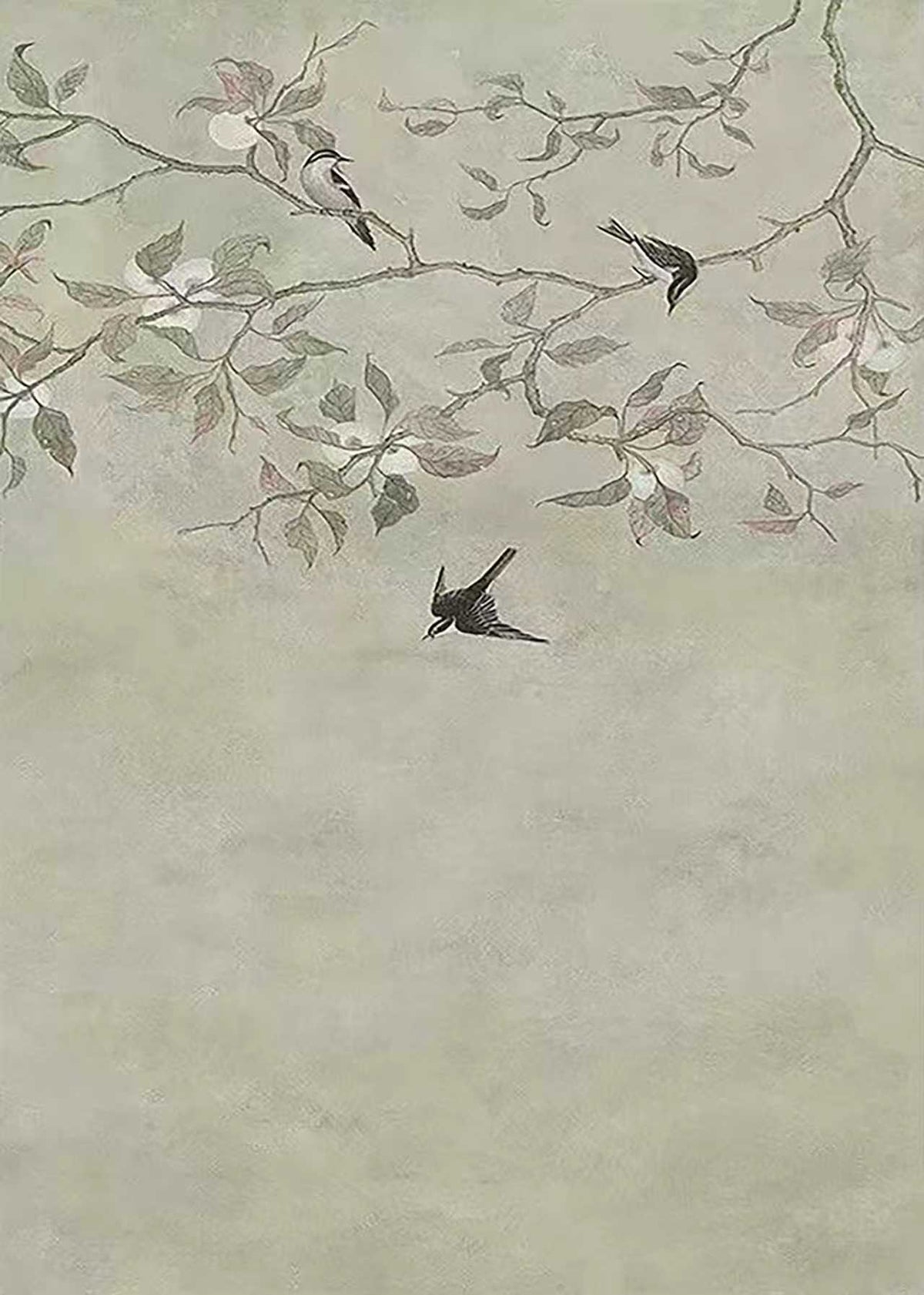 Swallows darting through pale branches on grey-green