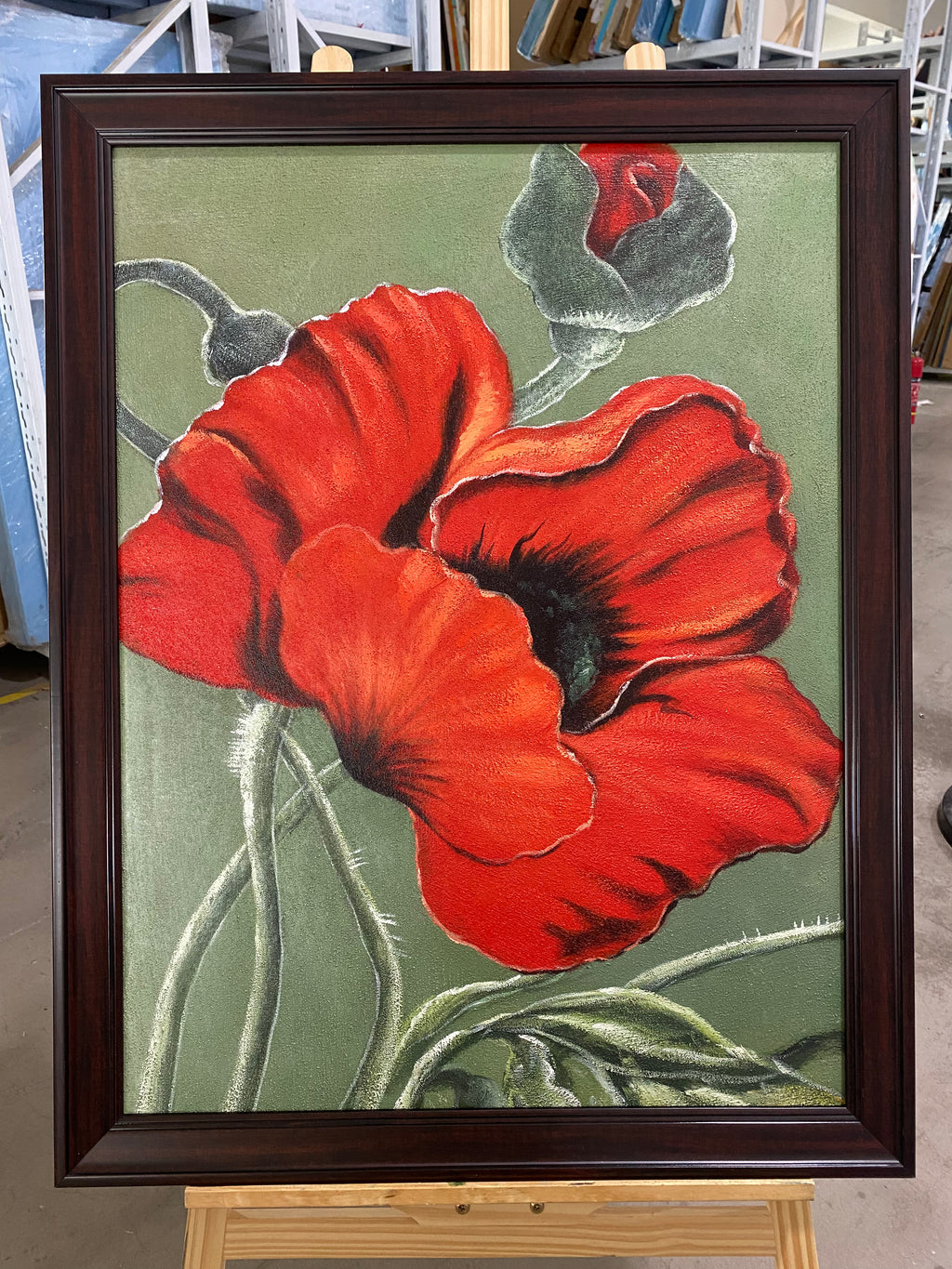 Red Poppy on Green