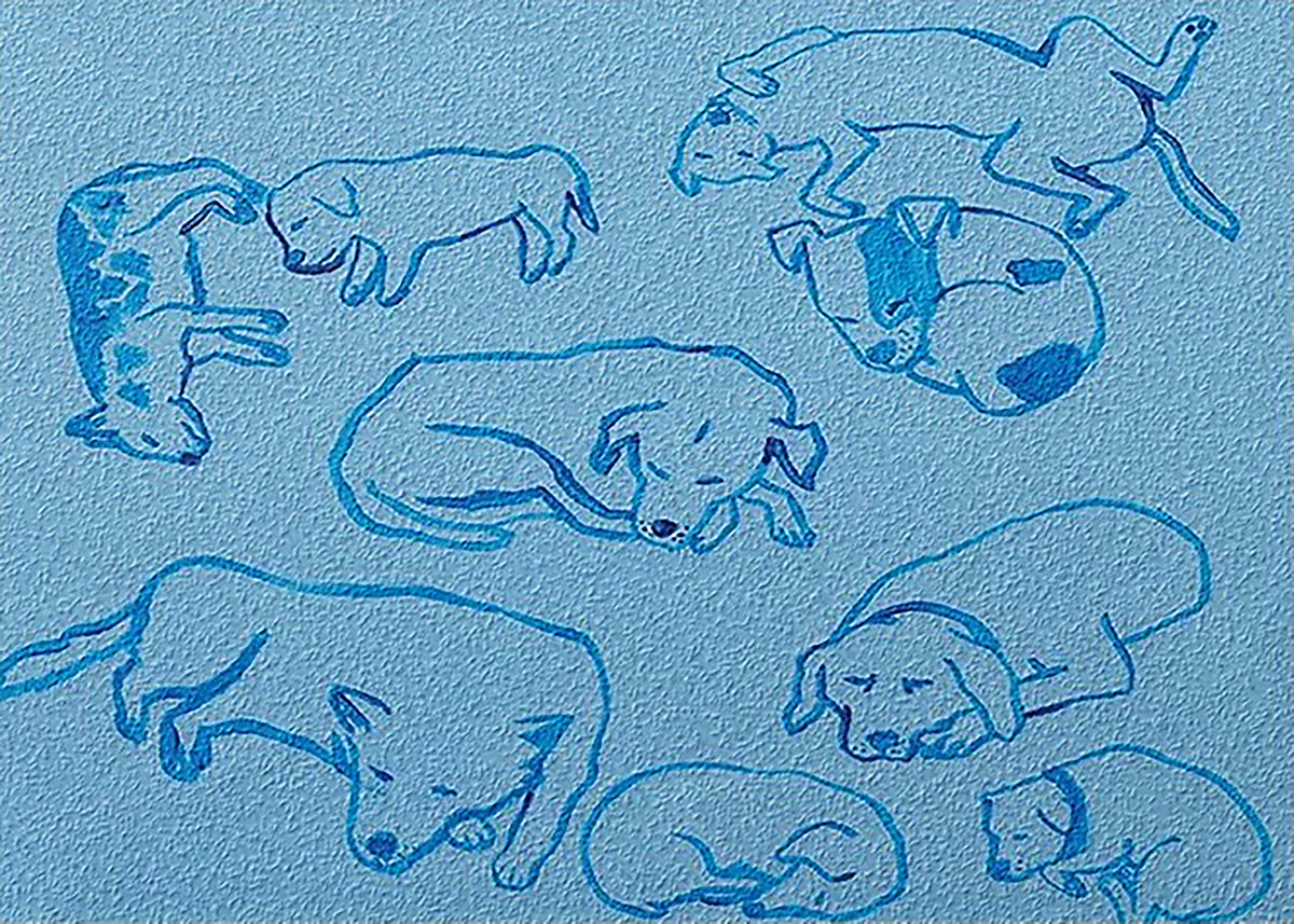 Blue line sketches of curled sleeping puppies on light blue