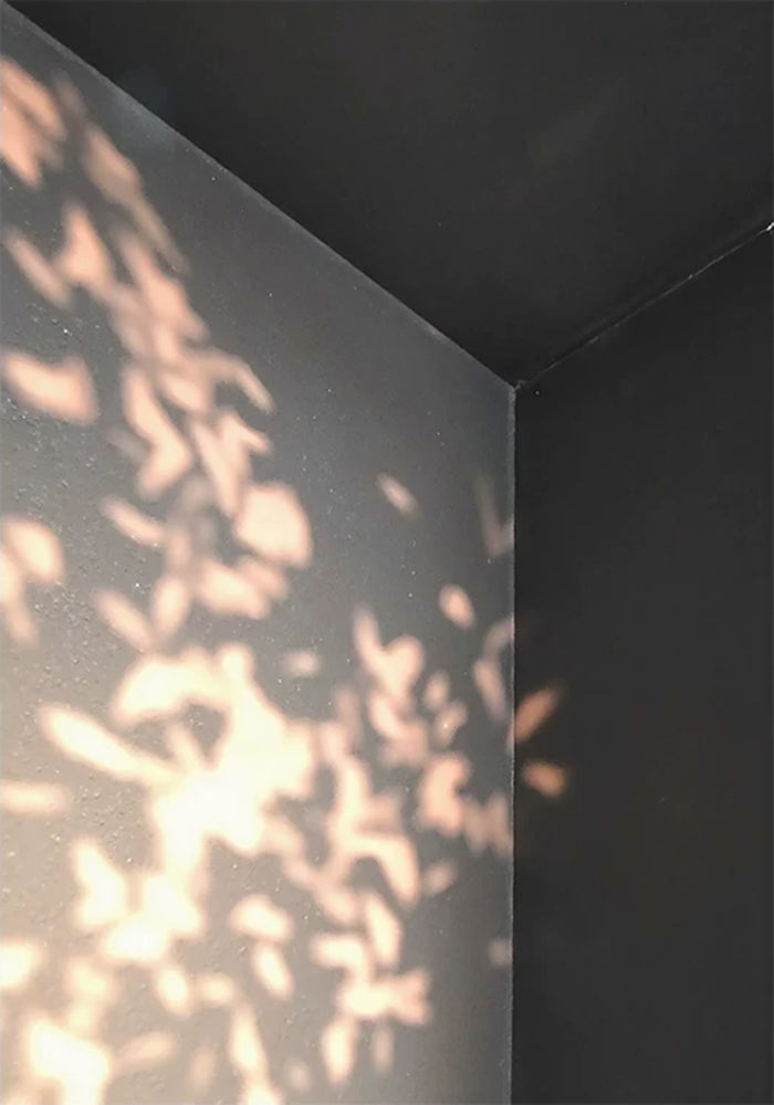 Dappled leaf light falling across a dark corner