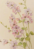 Sculpted pink blossoms on slender stems over cream
