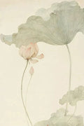 A pale lotus bud beneath a large sage lotus leaf on cream