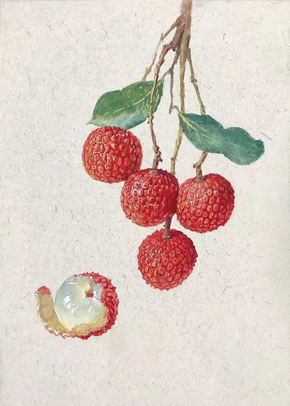 A cluster of red lychees hanging from a fine stem, one peeled
