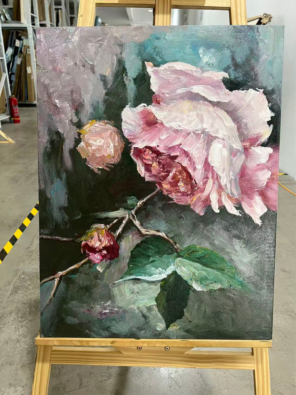 Pink Rose in Shadow