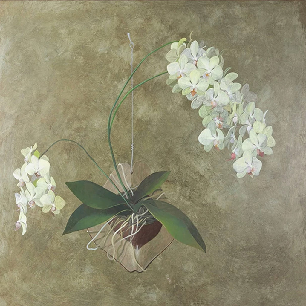 A white orchid spray rising from its pot over an olive ground