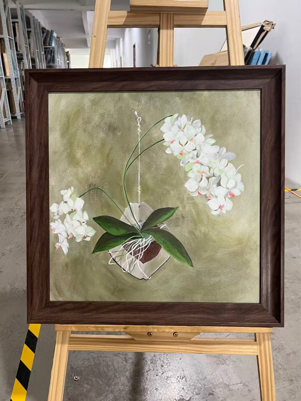 White Orchid on Olive