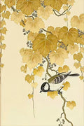 A small tit perched among hanging golden vine leaves