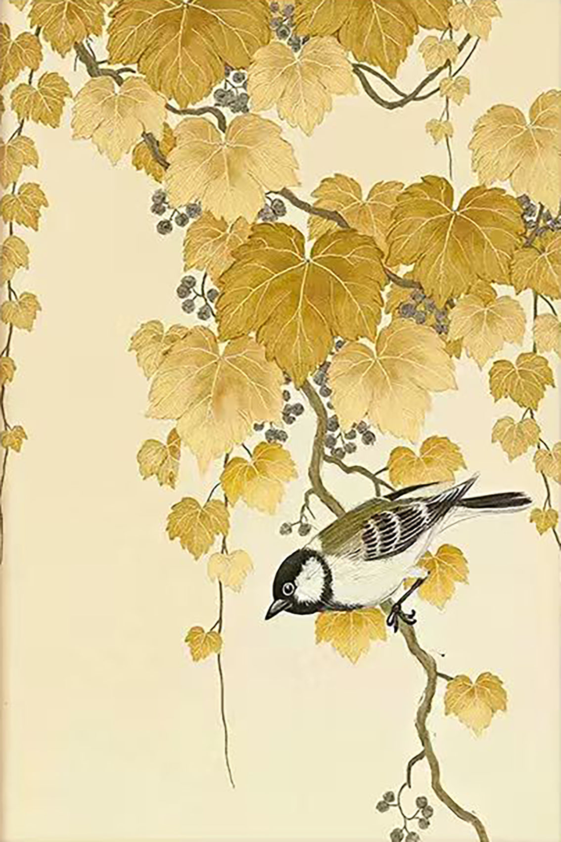 A small tit perched among hanging golden vine leaves