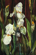White irises with long green leaves against a dark ground