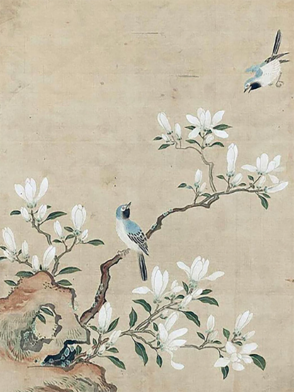 A small bird above white magnolia blossoms on aged silk