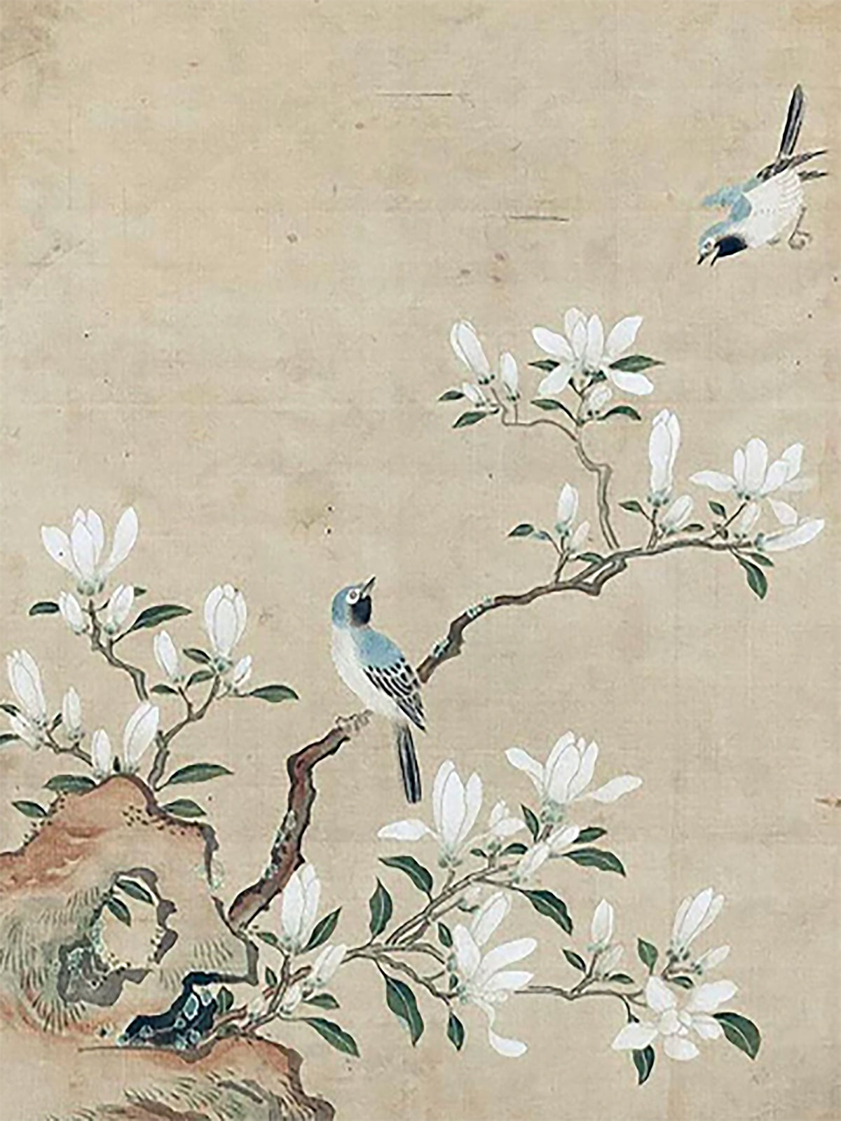 A small bird above white magnolia blossoms on aged silk
