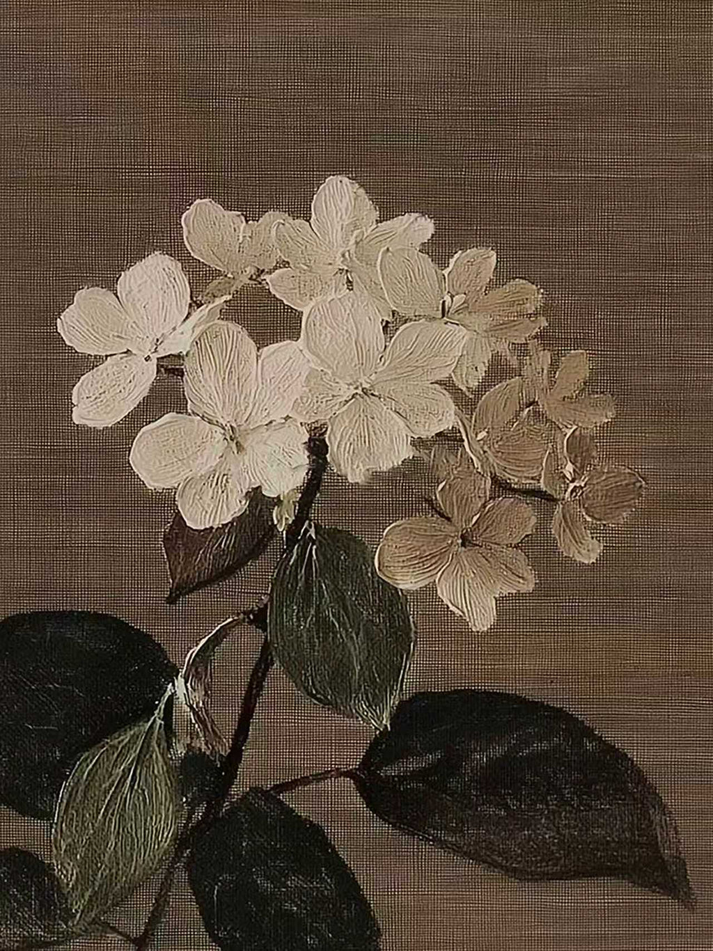 A pale hydrangea head with dark leaves on brown linen
