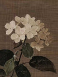 A pale hydrangea head with dark leaves on brown linen