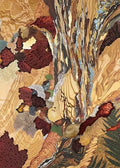 Patterned planes of tan, cream and maroon like carved bark