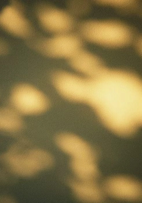 Soft golden patches of sunlight on dark olive