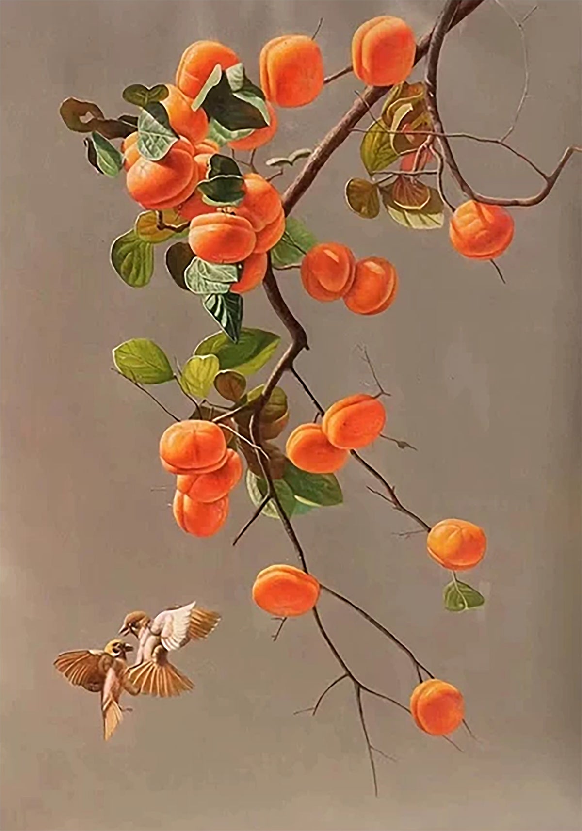 A bird flying beside a branch heavy with orange persimmons