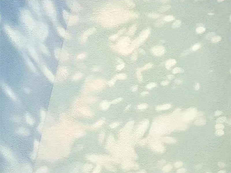 Soft dappled patches of sunlight on a pale mint wall meeting a blue shadow