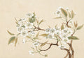 White pear blossoms and soft green leaves on a dark branch over a warm parchment ground