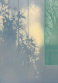 Blurred shadows of ferns and leaves on a soft blue-grey wall beside a pane of green glass