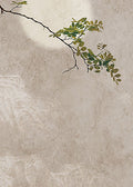A slender green branch crossing a pale moon on a stony beige ground