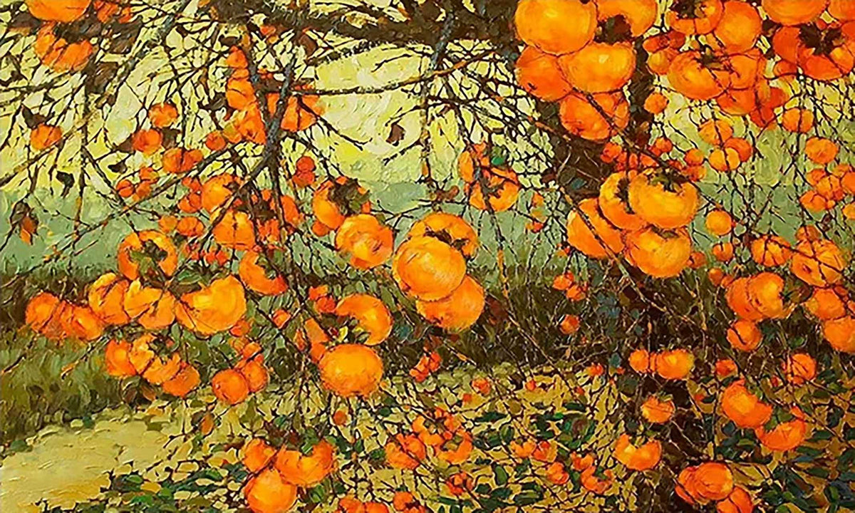 An old persimmon tree laden with glowing orange fruit over a golden autumn field