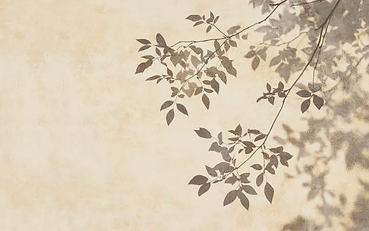 Delicate leafy branch shadows across a warm, aged parchment wall