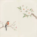 A robin on a slender branch below white blossoms on cream