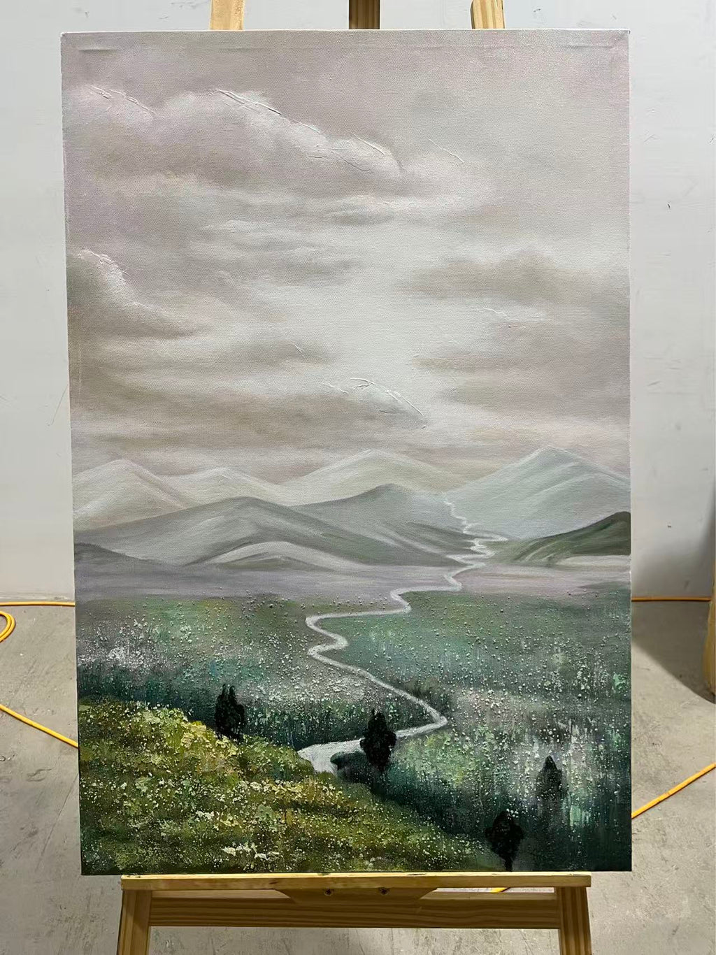 Valley under Grey Skies